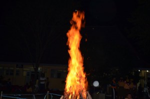 DSC_1042